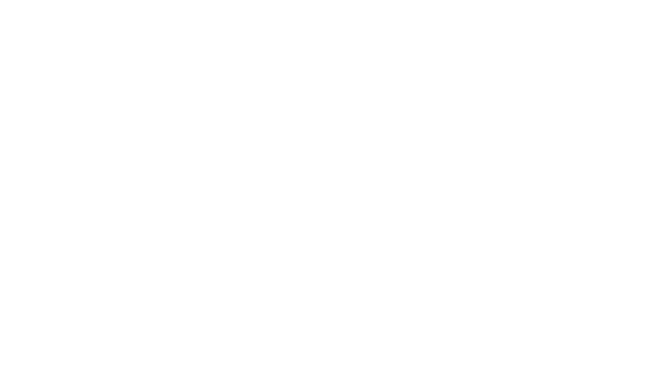 Campus VWFS Arg